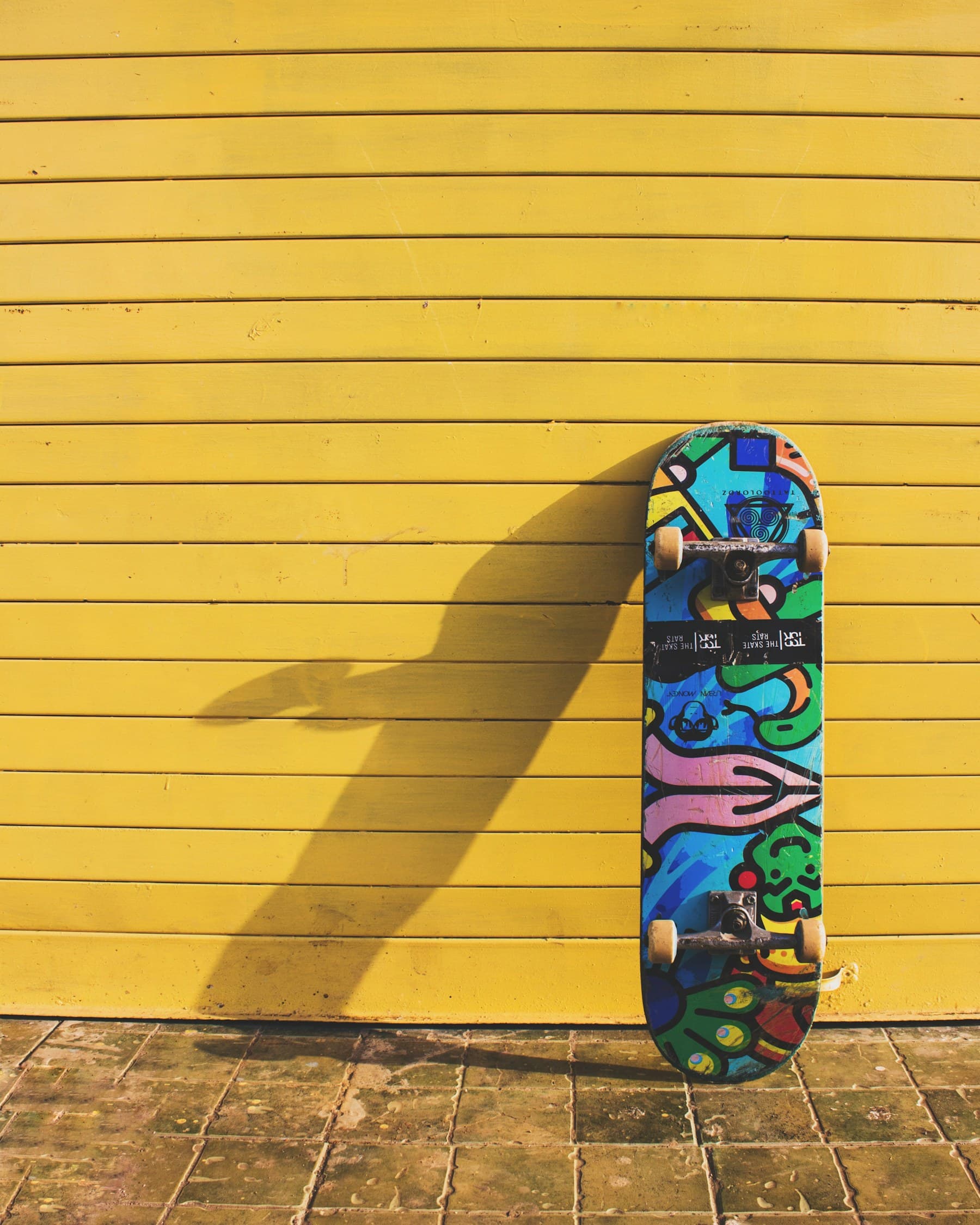 Cruiser skateboard, custom deck, photographed by the member